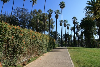 Enlarge photo 147