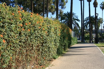 Enlarge photo 148