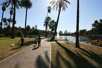 Enlarge photo 149
