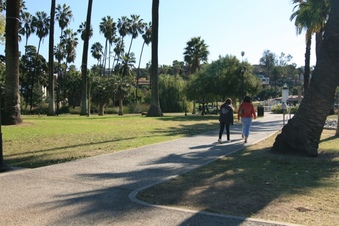 Enlarge photo 152