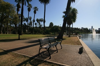 Enlarge photo 153