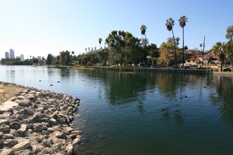 Enlarge photo 154