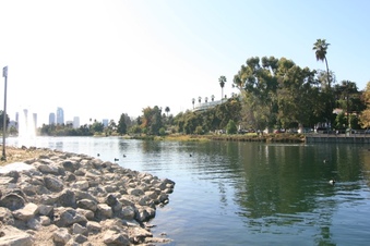 Enlarge photo 155