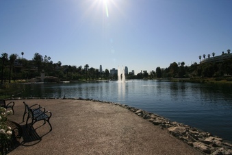 Enlarge photo 156