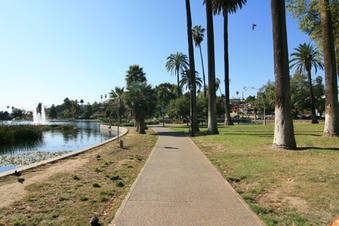 Enlarge photo 158