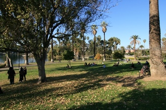 Enlarge photo 159