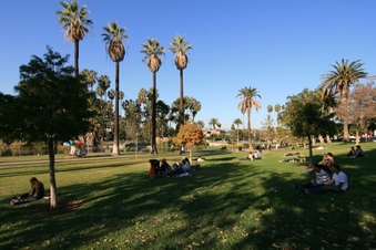 Enlarge photo 160