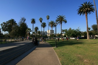 Enlarge photo 162