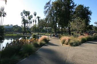 Enlarge photo 165