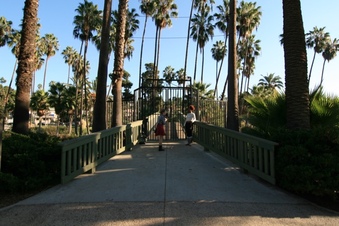 Enlarge photo 168