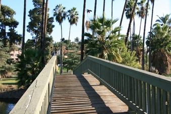 Enlarge photo 169