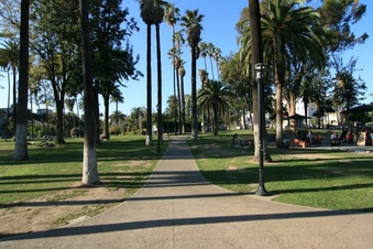Enlarge photo 170