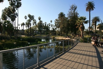 Enlarge photo 174