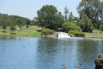 Enlarge photo 3