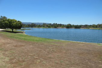 Enlarge photo 6