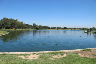 Enlarge photo 8