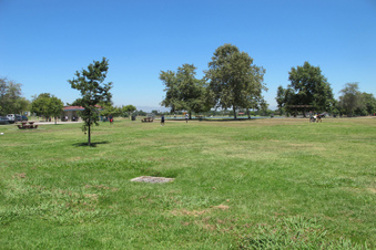 Enlarge photo 10