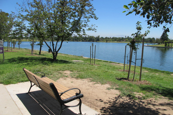 Enlarge photo 20