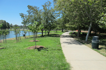 Enlarge photo 21