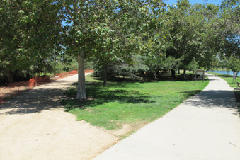Enlarge photo 31