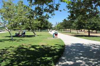 Enlarge photo 37