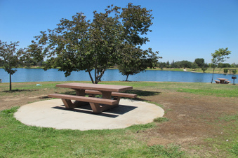 Enlarge photo 46
