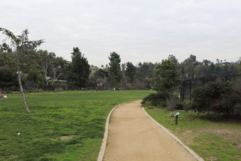 Enlarge photo 2