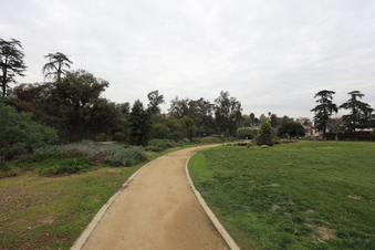 Enlarge photo 4