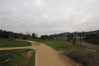 Enlarge photo 6