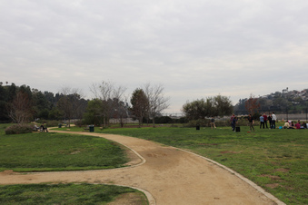 Enlarge photo 7