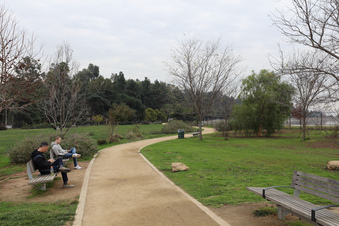 Enlarge photo 9