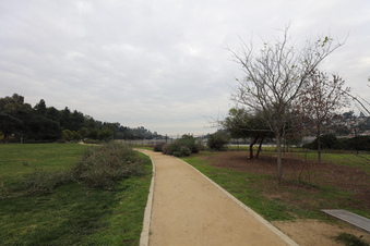 Enlarge photo 12