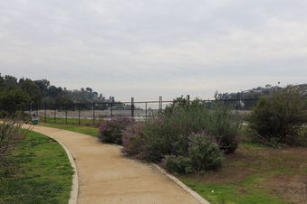 Enlarge photo 13