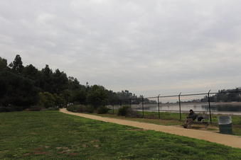 Enlarge photo 17