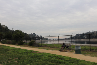 Enlarge photo 20