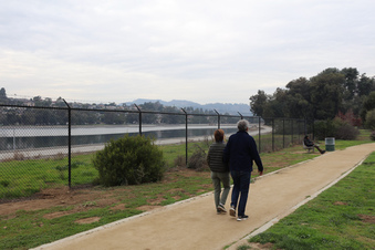 Enlarge photo 23