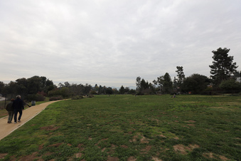 Enlarge photo 25