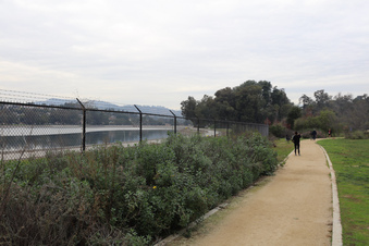 Enlarge photo 27