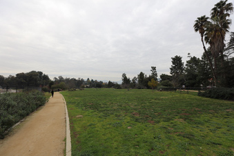 Enlarge photo 28