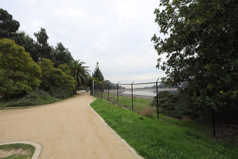 Enlarge photo 29