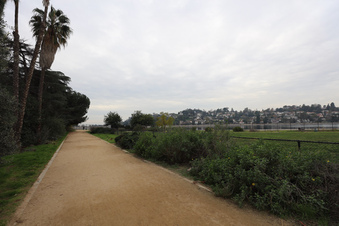 Enlarge photo 35