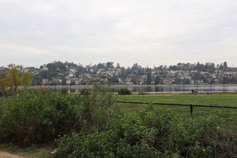 Enlarge photo 36