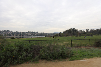 Enlarge photo 37