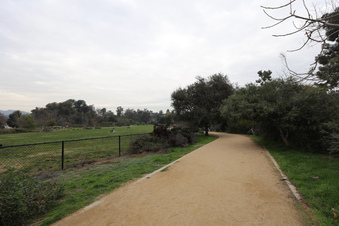 Enlarge photo 38