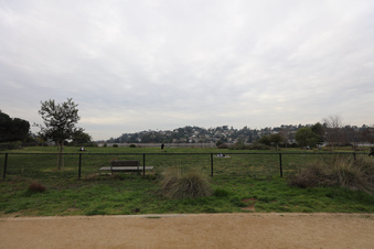 Enlarge photo 41