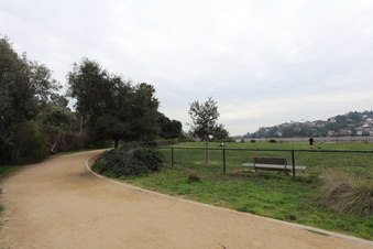 Enlarge photo 42