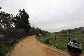 Enlarge photo 43