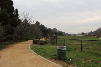 Enlarge photo 44