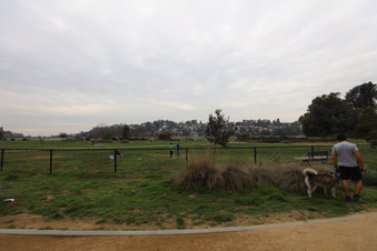 Enlarge photo 45