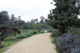 Enlarge photo 47